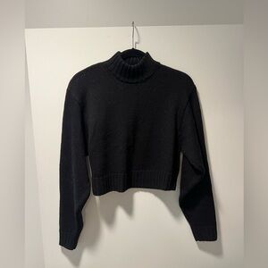 Wilfred Free Turtleneck Sweater